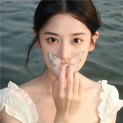 两万种蜜蜂