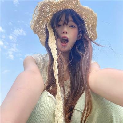 鸽之翼